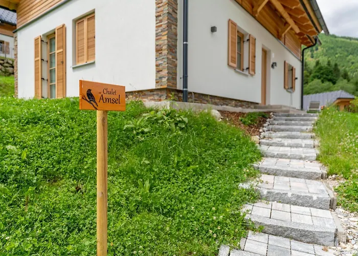 Amsel * Donnersbachwald